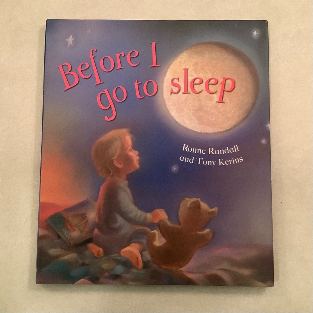 Before I Go To Sleep book.